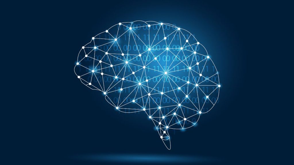 脳みそをイメージした画像