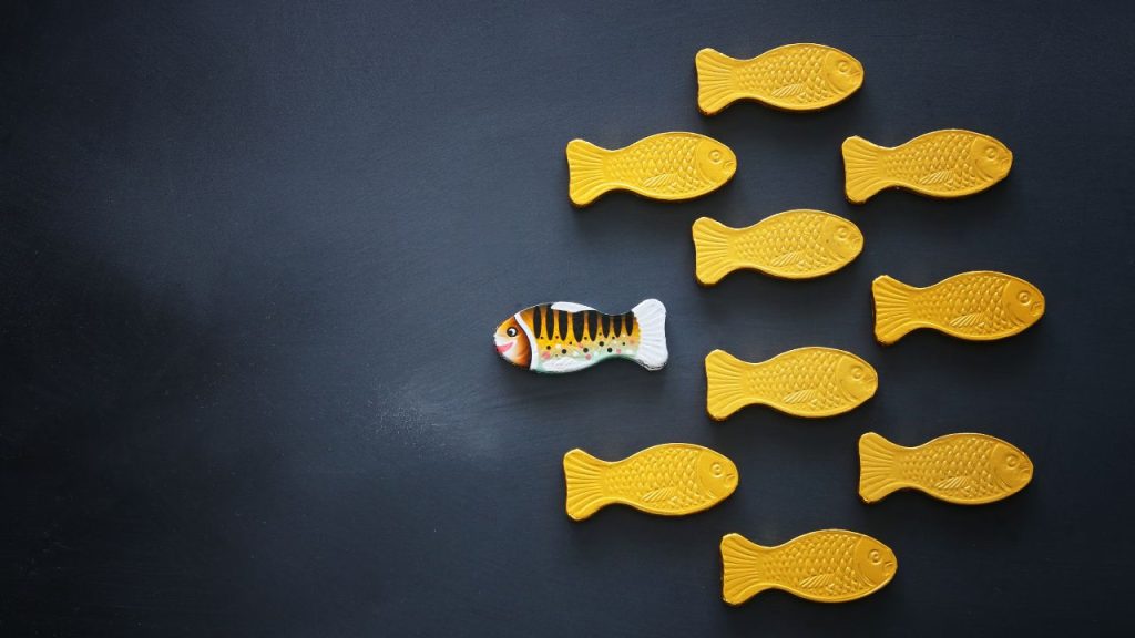一匹だけ異なる方向に泳ぐ魚の画像